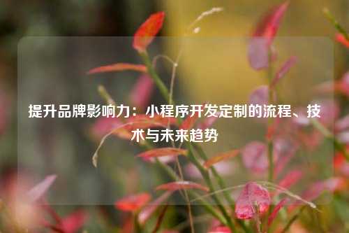 宁波提升品牌影响力：小程序开发定制的流程、技术与未来趋势