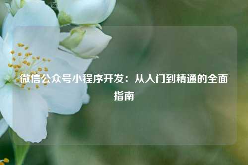 宁波微信公众号小程序开发:从入门到精通的全面指南