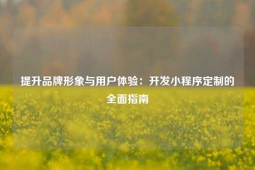 宁波提升品牌形象与用户体验：开发小程序定制的全面指南