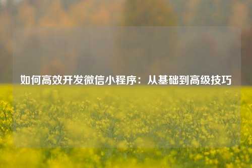 宁波如何高效开发微信小程序：从基础到高级技巧