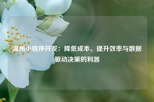 宁波温州小程序开发:降低成本、提升效率与数据驱动决策的利器