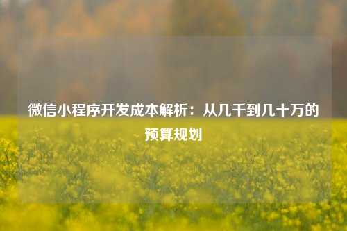 宁波微信小程序开发成本解析:从几千到几十万的预算规划