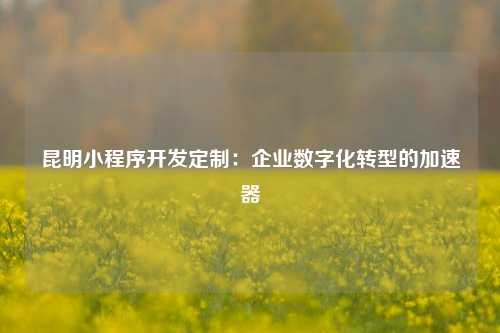 宁波昆明小程序开发定制：企业数字化转型的加速器