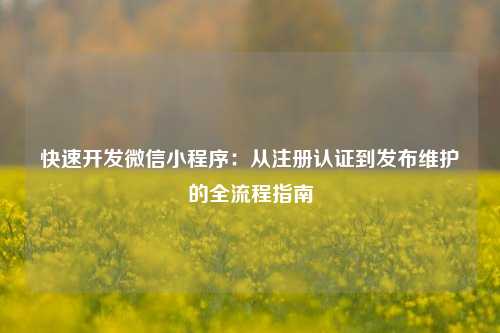 宁波快速开发微信小程序：从注册认证到发布维护的全流程指南
