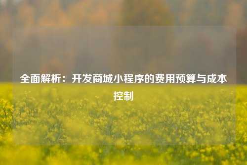 宁波全面解析:开发商城小程序的费用预算与成本控制