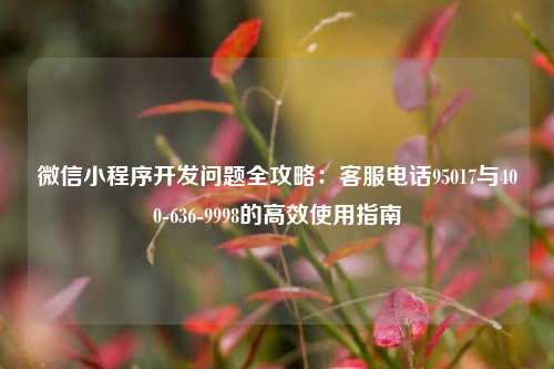 宁波微信小程序开发问题全攻略：客服电话95017与400-636-9998的高效使用指南