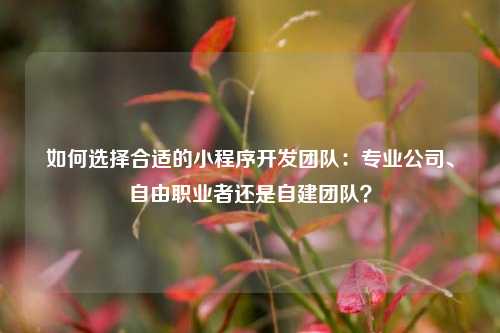 宁波如何选择合适的小程序开发团队:专业公司、自由职业者还是自建团队?