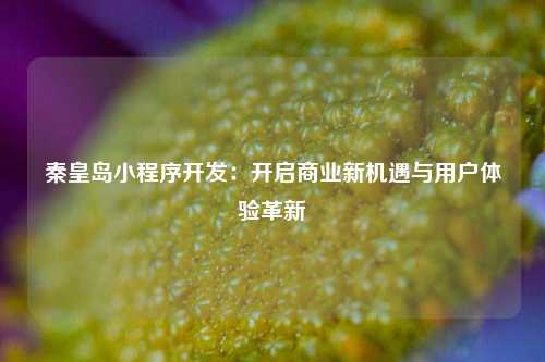 宁波秦皇岛小程序开发:开启商业新机遇与用户体验革新