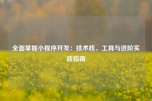 宁波全面掌握小程序开发:技术栈、工具与进阶实践指南