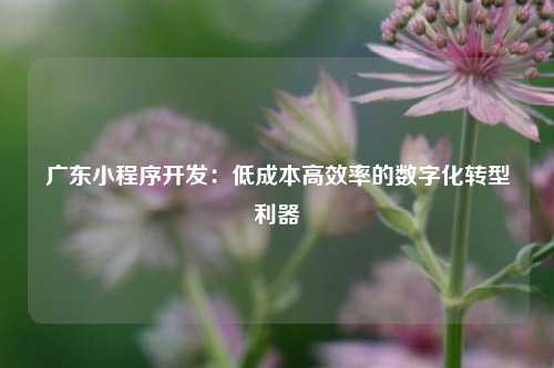 广东小程序开发：低成本高效率的数字化转型利器