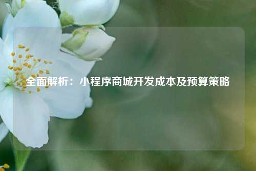 宁波全面解析:小程序商城开发成本及预算策略