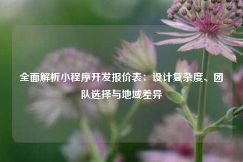 宁波全面解析小程序开发报价表：设计复杂度、团队选择与地域差异