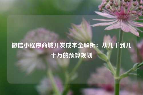 宁波微信小程序商城开发成本全解析：从几千到几十万的预算规划
