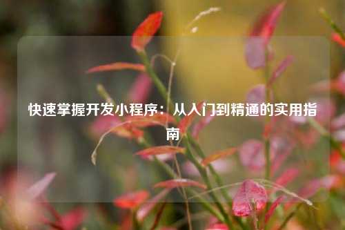 宁波快速掌握开发小程序:从入门到精通的实用指南