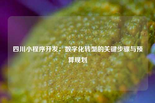 四川小程序开发：数字化转型的关键步骤与预算规划