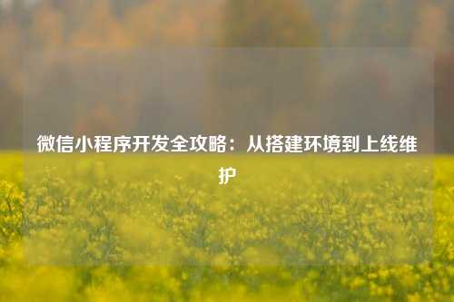 微信小程序开发全攻略：从搭建环境到上线维护