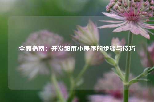 宁波全面指南:开发超市小程序的步骤与技巧