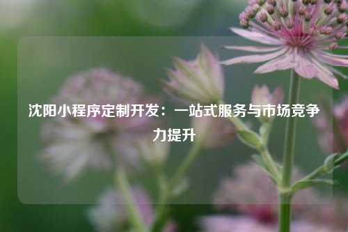 宁波沈阳小程序定制开发：一站式服务与市场竞争力提升