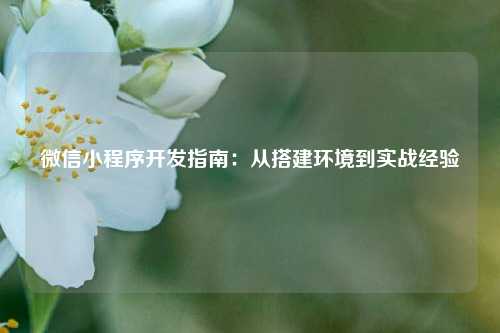 宁波微信小程序开发指南:从搭建环境到实战经验