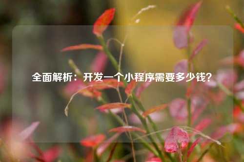 宁波全面解析：开发一个小程序需要多少钱？