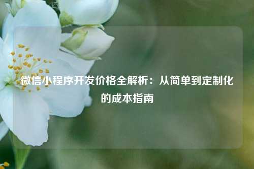 宁波微信小程序开发价格全解析：从简单到定制化的成本指南
