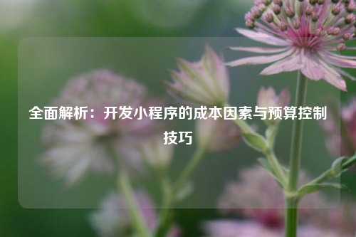 宁波全面解析:开发小程序的成本因素与预算控制技巧