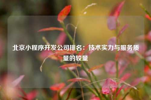 宁波北京小程序开发公司排名:技术实力与服务质量的较量