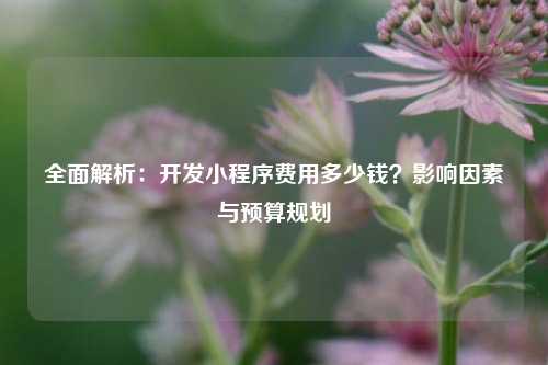 宁波全面解析：开发小程序费用多少钱？影响因素与预算规划