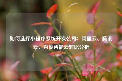 宁波如何选择小程序系统开发公司：阿里云、腾讯云、百度智能云对比分析