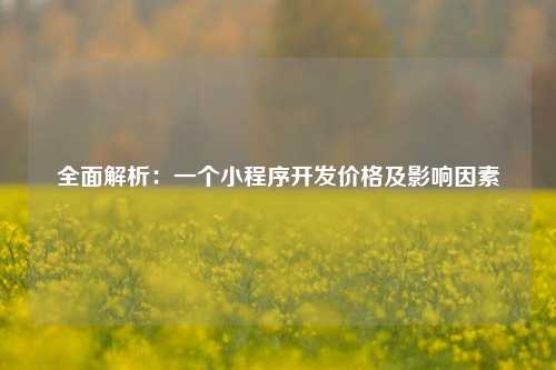 宁波全面解析：一个小程序开发价格及影响因素