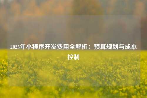 宁波2025年小程序开发费用全解析：预算规划与成本控制