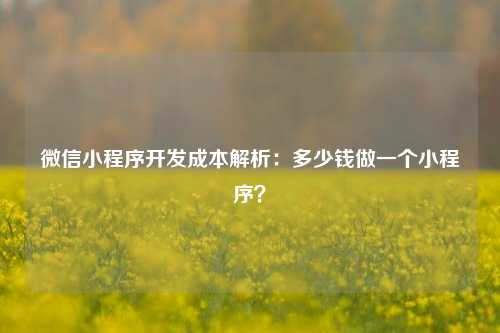 宁波微信小程序开发成本解析：多少钱做一个小程序？