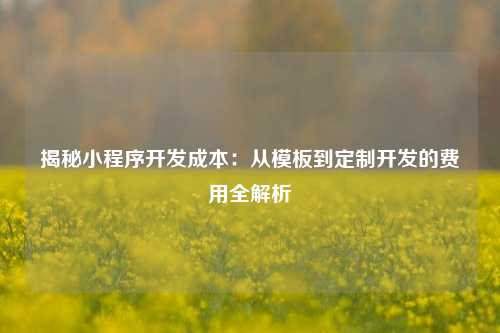揭秘小程序开发成本：从模板到定制开发的费用全解析