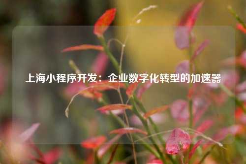 宁波上海小程序开发:企业数字化转型的加速器