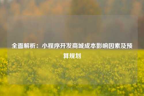 宁波全面解析：小程序开发商城成本影响因素及预算规划