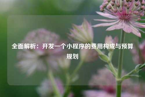 宁波全面解析：开发一个小程序的费用构成与预算规划