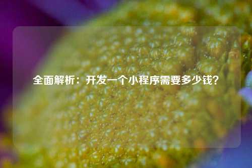 全面解析：开发一个小程序需要多少钱？