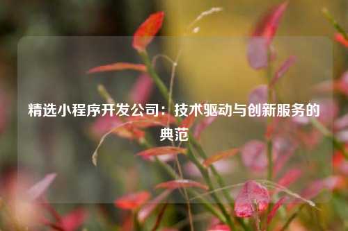 宁波精选小程序开发公司:技术驱动与创新服务的典范