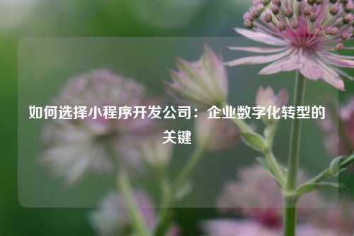 如何选择小程序开发公司：企业数字化转型的关键