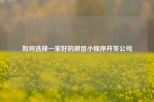 如何选择一家好的微信小程序开发公司