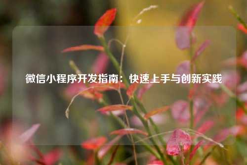 微信小程序开发指南：快速上手与创新实践