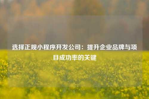 宁波选择正规小程序开发公司:提升企业品牌与项目成功率的关键