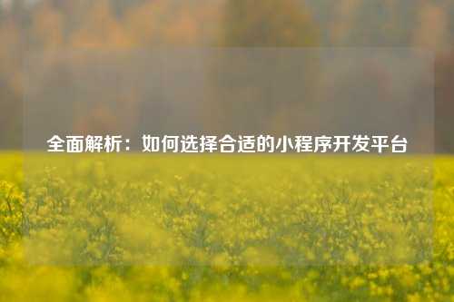 宁波全面解析：如何选择合适的小程序开发平台