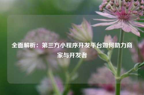 宁波全面解析:第三方小程序开发平台如何助力商家与开发者
