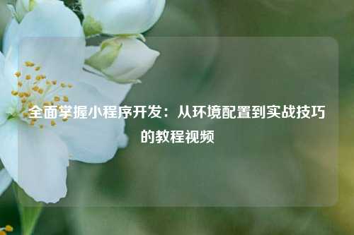 宁波全面掌握小程序开发：从环境配置到实战技巧的教程视频