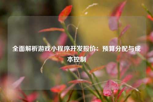 宁波全面解析游戏小程序开发报价:预算分配与成本控制