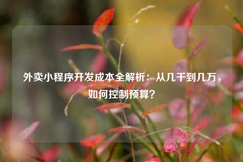 宁波外卖小程序开发成本全解析:从几千到几万,如何控制预算?