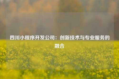 宁波四川小程序开发公司:创新技术与专业服务的融合