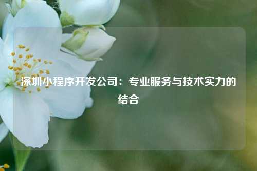 深圳小程序开发公司：专业服务与技术实力的结合