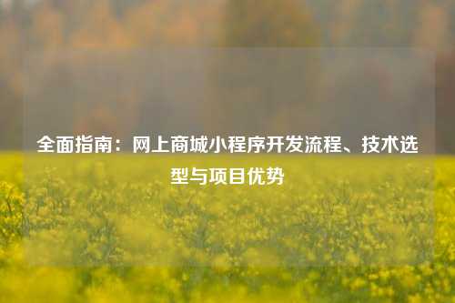 宁波全面指南：网上商城小程序开发流程、技术选型与项目优势